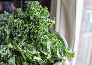 Freshly Washed Kale