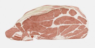 Illustration of raw pork rib roast