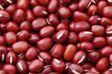 Red Bean Adzuki close up