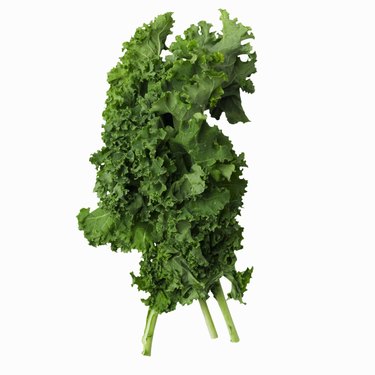 Close-up of kale