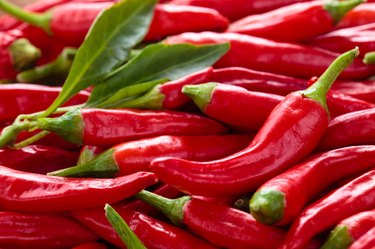 Red chili peppers.