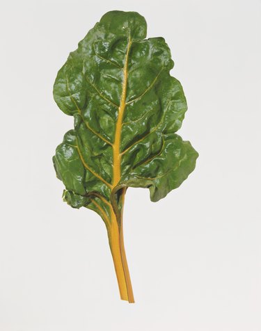 Nutritional Facts of Cooked Swiss Chard | Livestrong.com