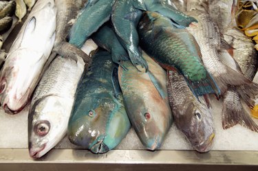 French Polynesia, Tahiti, Papeete, Local fish market