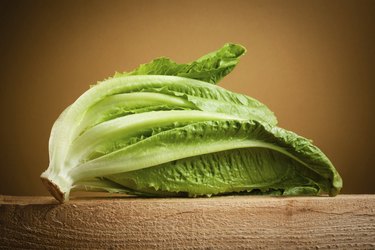 Organic romain lettuce isolated