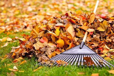 Pile of fall leaves on the grass with a rake to illustrate raking leaves calories