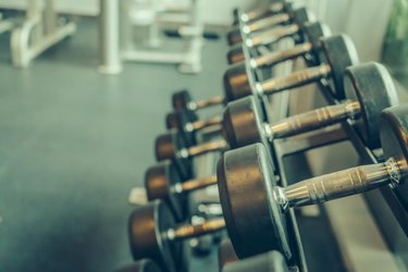 Dumbbells on a rack in the gym.