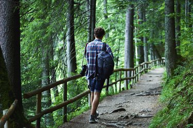 Hiker in forest