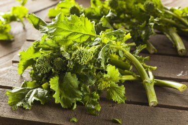 Organic Raw Green Broccoli Rabe Rapini