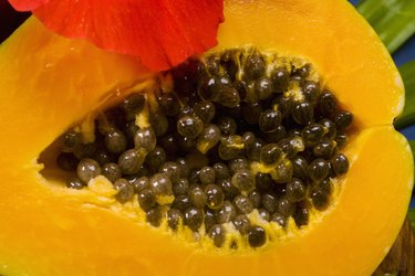 Studio shot of half of a papaya.
