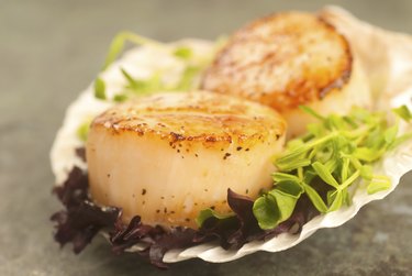 Sea Scallop with greens in a shell