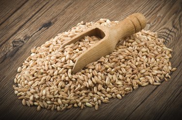 Spelt Grain