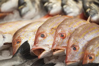 red snapper at a fish market