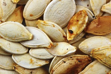 Pumpkin seeds