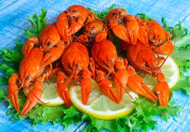 food boiled crayfish