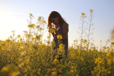 Little girl in a blooming field