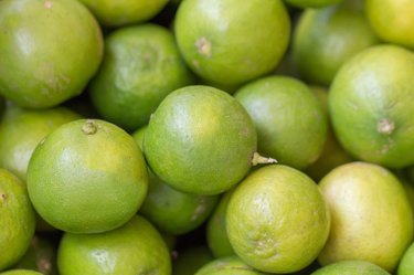 Fresh green lemons