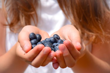 Close-up of girls Hands holding blueberries