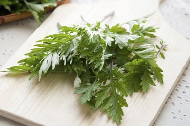 Wormwood