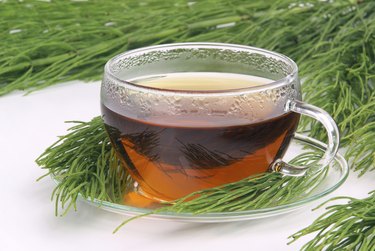 tea field horsetail