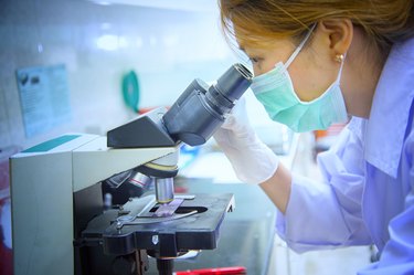 Scientist looking through a microscope in laboratory hospital