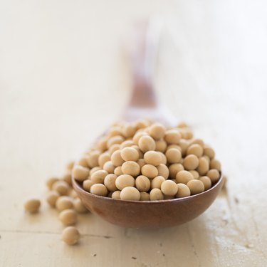 Studio shot of soy beans