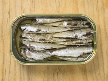 are sardines in olive oil good for dogs