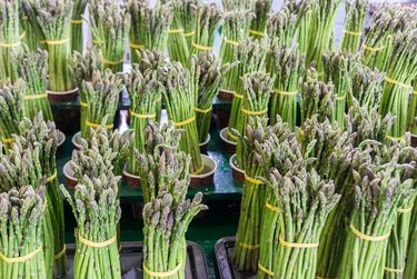 Asparagus Tied inBunches For Sale
