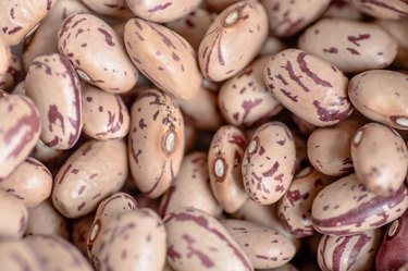 Pinto Beans