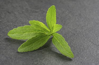 Stevia leaves on a slate plate