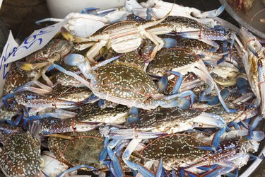 raw crab at seafood market