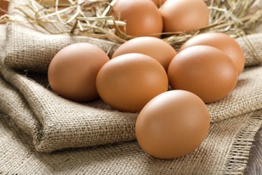 are turkey eggs good for you