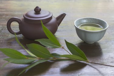 Still life with ceramic teapot, cup of green tea, and branch of tea plant
