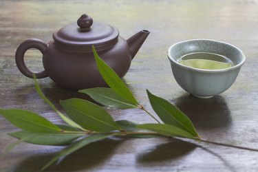 静物与陶瓷茶壶，一杯绿茶，和茶树的分支