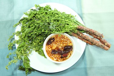 Neem Tree boiled
