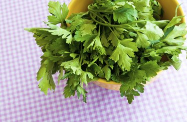 Fresh Herbs: Cilantro