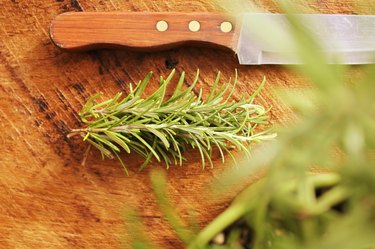 bunch of fresh rosemary