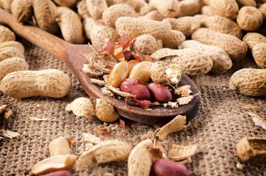 Peanuts on ladle