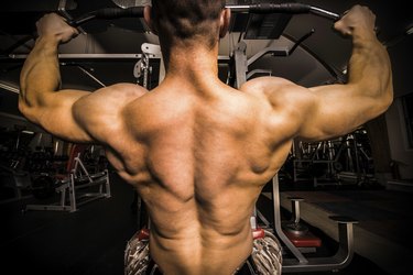Bodybuilder With Big Back In the Gym