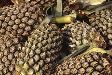 Pineapples, Kuala Lumpur, Malaysia, full frame, (Close-up)