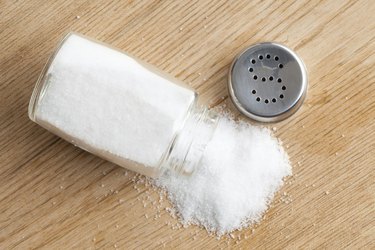 salt shaker