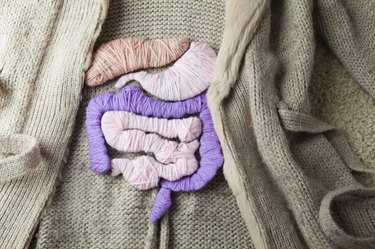A knit jacket with the applique of internal organs