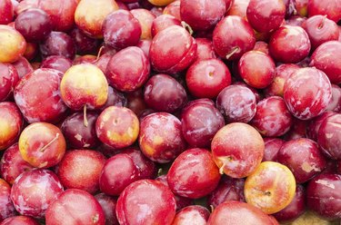 Red ripe plums at the market