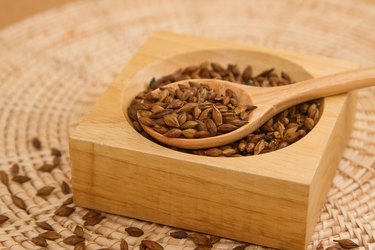 Closeup Barley tea in the wooden spoon