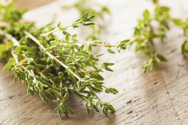 lemon thyme vs thyme