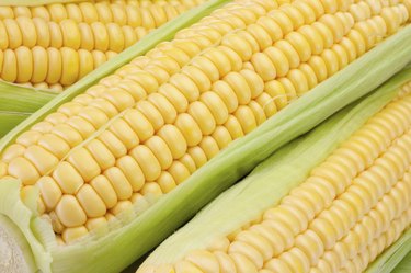 Corn on the cob with green leaves