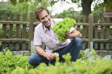 男子在花园里拿蔬菜