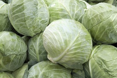 cabbages