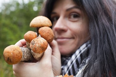 Mushrooms in hands