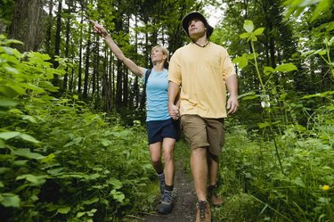 Couple walking through forest