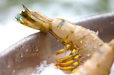 Close-up of frozen seafood